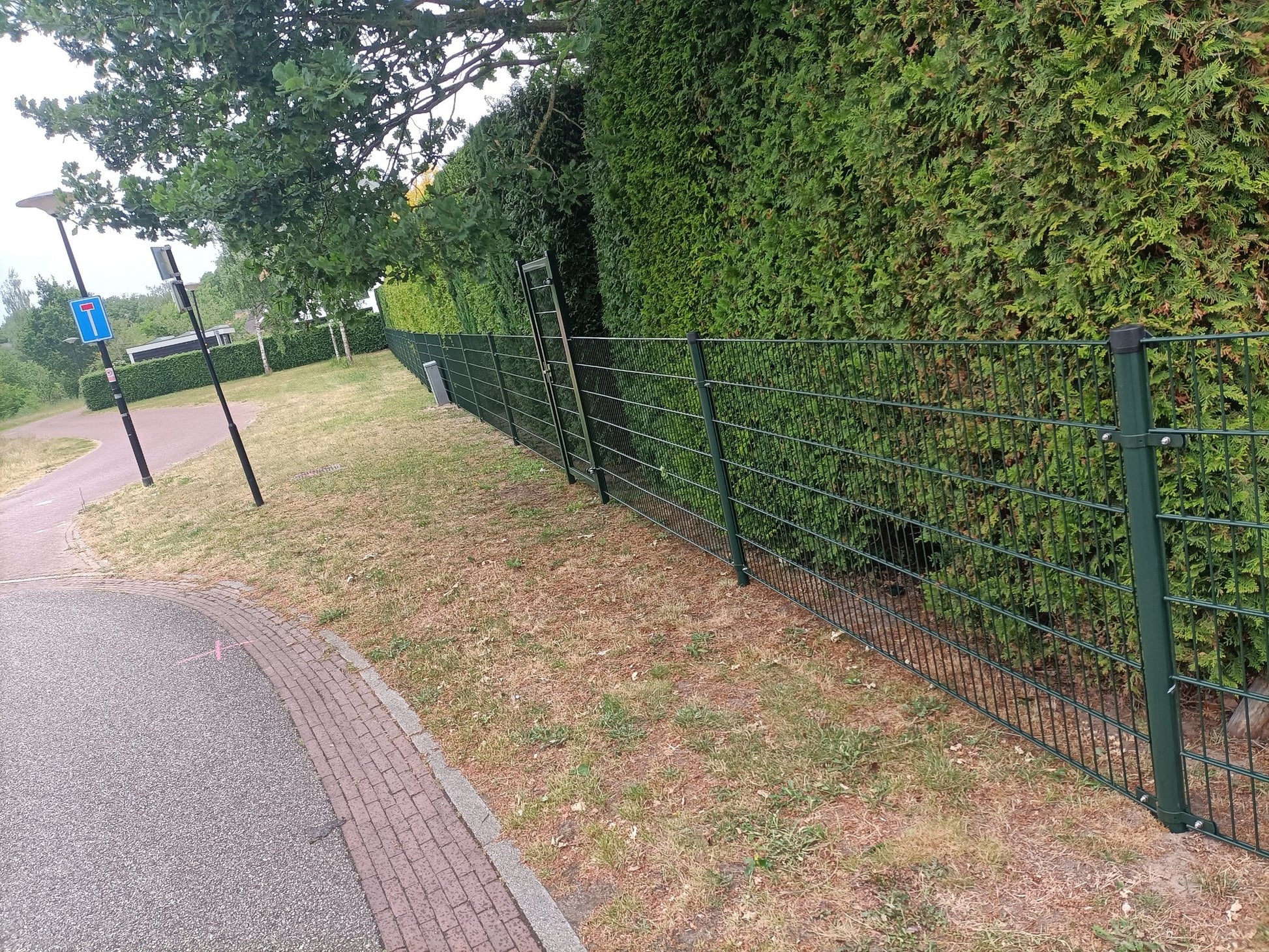 dubbelstaafmat 8/6/8 hek kopen hekwerk ral 6009 groen