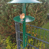 Birdhouse - Feeding station